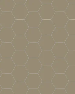Klinker - Hexagon 10 x 10 cm mullvadsgrå