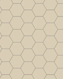 Klinker - Hexagon 10 x 10 cm ontario