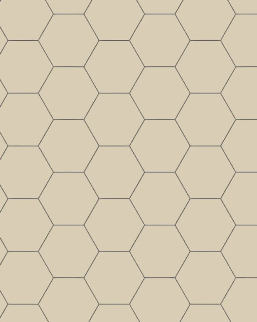 Klinker - Hexagon 10 x 10 cm ontario