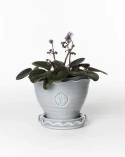 Kruka Sturehof - Adelcrantz, 11 cm grå