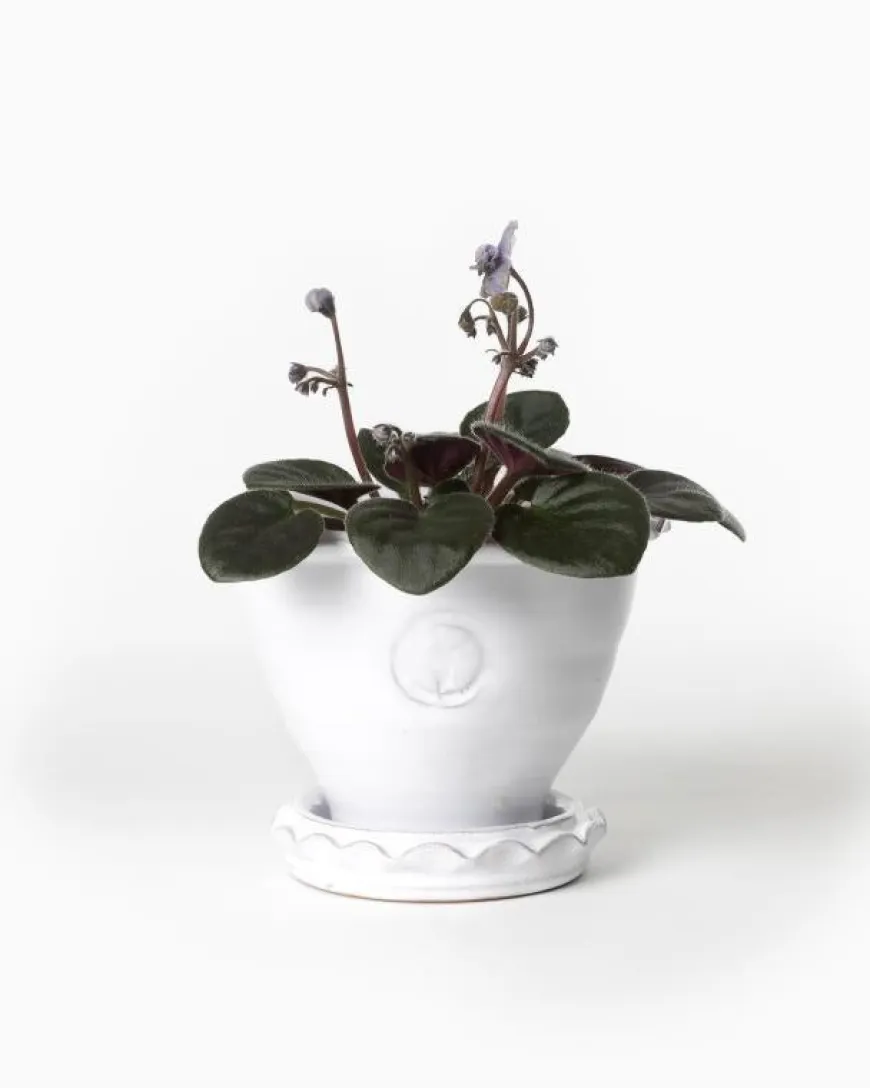 Kruka Sturehof - Adelcrantz, 11 cm vit