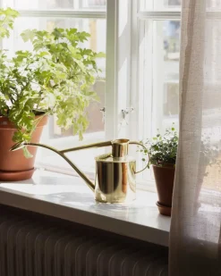 Vattenkanna inomhus - Mässing 1 L