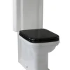 WC - Art Deco golvstående toalett med spolknapp & sits - Brons